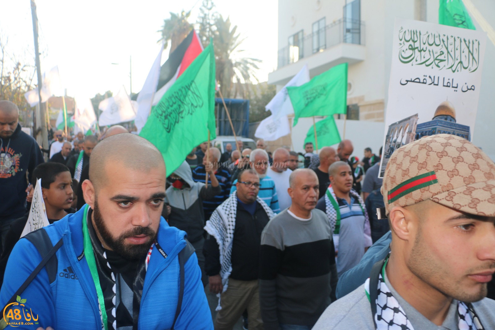 yaffa modahara jeq (99).jpg